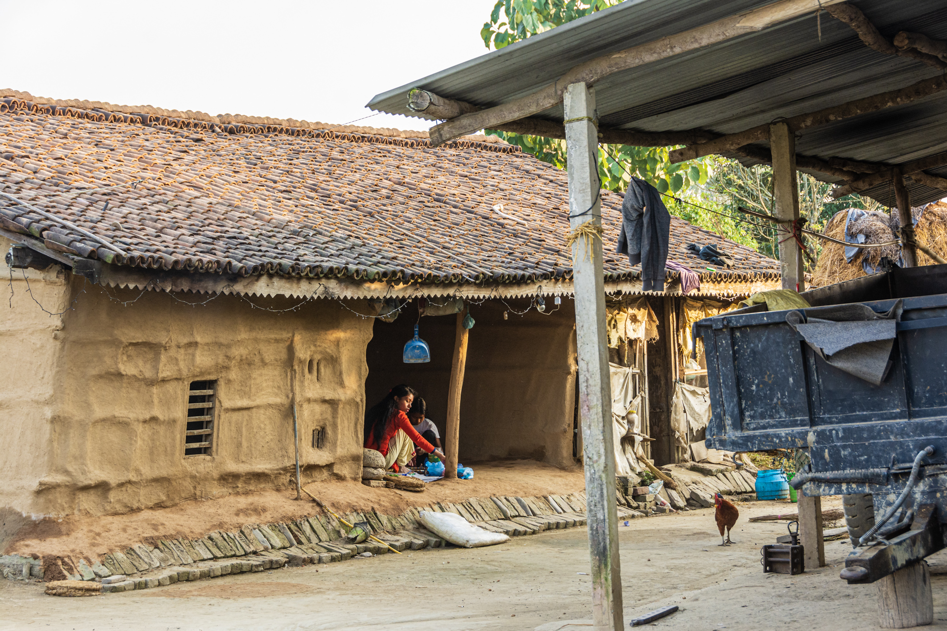 Chitwan Tharu Village Tour